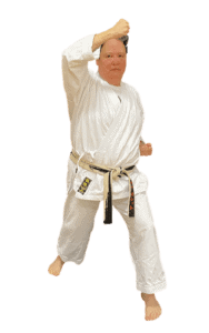 Donna Mullett Sensei